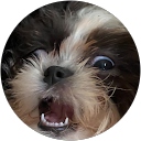 Skylar profile picture
