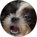Skylar profile picture